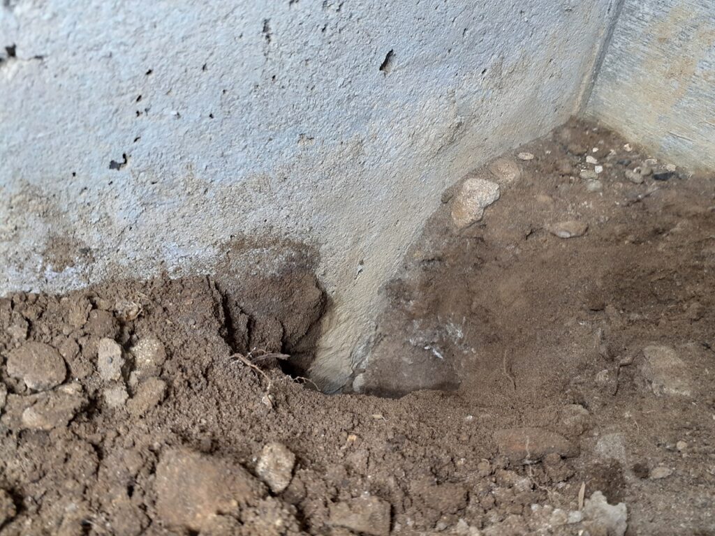 床下の土にねずみが掘ったと思われる穴が開いてあります