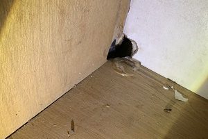 建物被害 建物被害